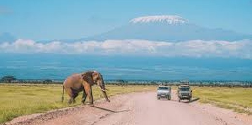AFRICA